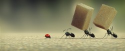 MINUSCULE3.jpg